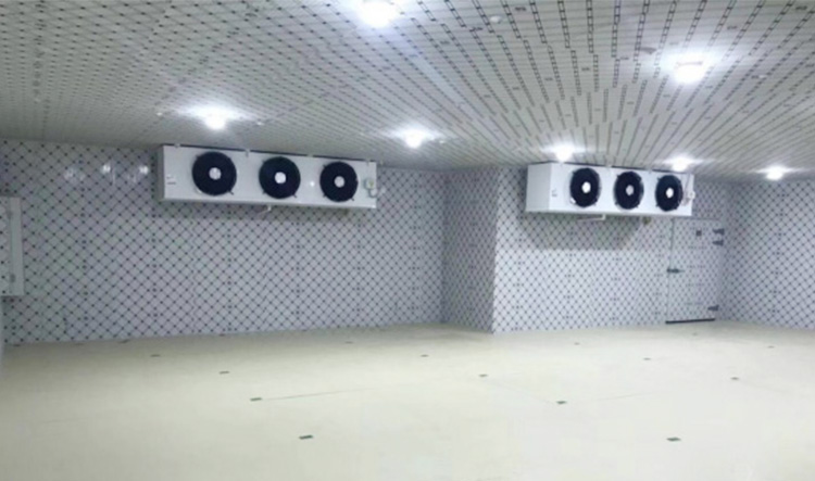 湛江國聯水產開發有限公司